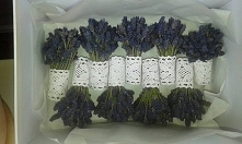 Mini bukieciki lawendowe.

FIOLETOWA GÓRA ZAPRASZA NA FB