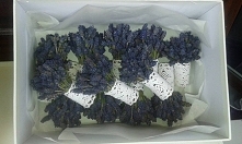 Mini bukieciki

FIOLETOWA GÓRA zaprasza na FB