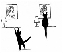 Gdzie się podział kot?