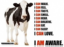 Było chwile kolorowo i fajnie. Ale teraz czas na edukacje. Świat owszem jest piękny jak ten dywan pod który zamiata się wszelkie brudy a później kładzie ładnie zastawiony stół. ...