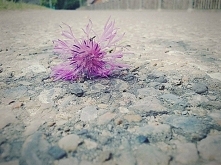 zaległość =/ troche zapomniałam :/ miała wyjśc inaczej ta tablica ale to nic jest ok XD tylko .. juz prawie koniec wakacji :< zanieługo szkoła :<