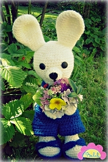 Przedstawiam Wam Prymulkę ;)
@handBalala