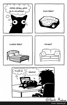 Kto ma kota, ten rozumie ;)