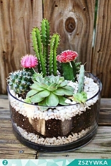 handmadelove.bloog.pl