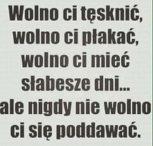 Nigdy Ale to nigdy się nie ...