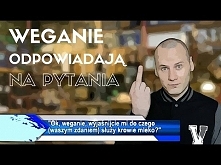 Weganie odpowiadają na pytania mięsożerców. Matko HAHAHAHA Ej przyznajcie, że to bekowo zrobili ;'D Matko hahahah
Jeszcze fajnie podkreślili niektóre przegięcia wegan.