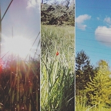 Uroki łąki w Trzebini <3