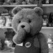 #ted #miś #słodziak