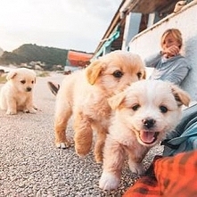puppies <3