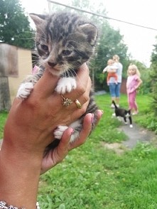 I jest mok maluszek!