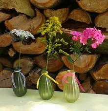 Kwiaty z naszego ogrodu...