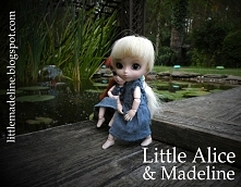 spacer po kładce- Little Pullip