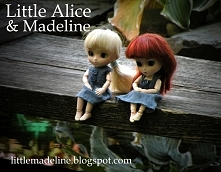 Czasem warto posiedzieć w milczeniu...
Little Pullip Doll