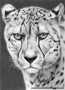 Kolejny rysunek, przed chwi...