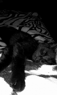 I jak tu go nie kochać? ^-^