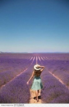 Piękne zdjęcie! ❤