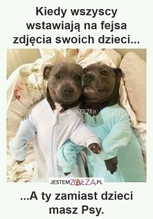 Kiedy wszyscy wystawiają zd...