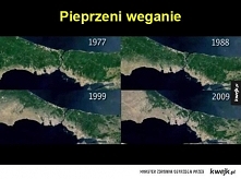 Obejrzeć link w komentarzu później komentować ;) Wstawiam bo się z tego lałam. Oraz specjalnie dla aagniecha która zgłębiła wiedzę o jakiej mi się nie śniło. FOOD FOR LIFE GLOBA...