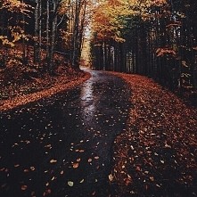 za chwilę jesień :)