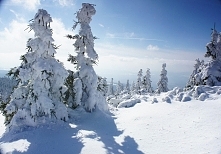 Urok pięknego, zimowego, słonecznego dnia