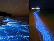 Świecące Wybrzeże - Malediwy.