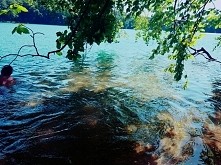 #1 skromne male jezioro ( L...
