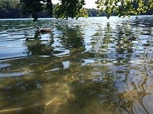 #2 skromne Jezioro (Liepnit...