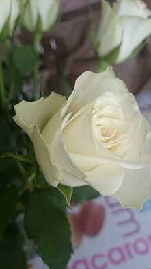 pierwsze zdjęcie na tablicy ☺