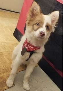 co z niego wyrośnie ^^