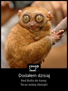 Na co komu alkohol, skoro j...