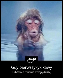 Wy tez tak macie?