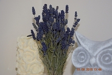 Fioletowa Góra zaprasza na FB

Bukiety lawendy są na sprzedaż