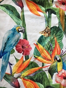 tkanina print papuga