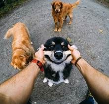 ...