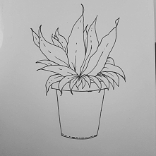 Prosty rysunek roślinki ♥