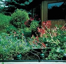 Blumat - idealne rozwiązanie do automatycznego podlewania w ogrodzie.