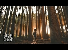 Michl - Broken Roots