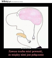 Zanim coś się powie :)