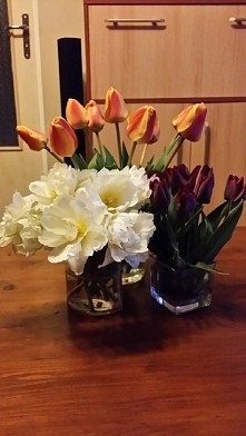 Tulips