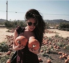 Shay