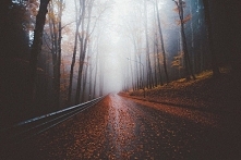 Nie sądzicie, ze wycieczka w góry jesienią to dobry pomysł? Wszędzie tak kolorowo (jeśli chodzi o liście i drzewa). Byle by tylko nie padało :) i było cieplutko