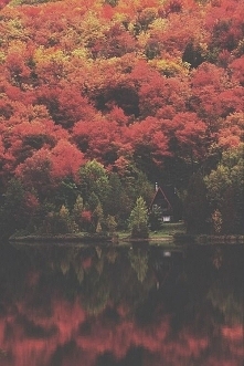 Tam właśnie mieszkać i pić ...