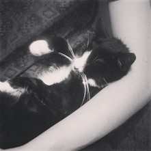 ^.^
