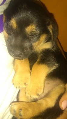 moje dziecko <3 Mój Quebo <3 Moja mała wielka miłość *.*