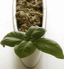 Pesto Bożeny