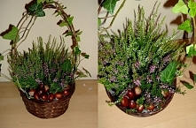 5 minut pracy i jesienne dekoracje diy gotowe :) postawiłam je na oknie w towarzystwie dyń :)