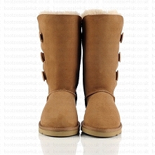 ugg chestnut 1873 boots