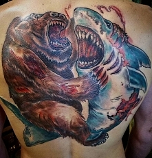 niedźwiedź konta rekin