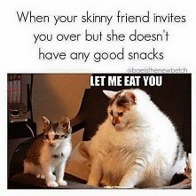 #humor #dieta #koty