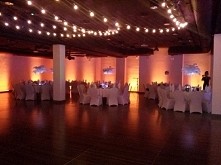 pióra strusie Perfect Wedding